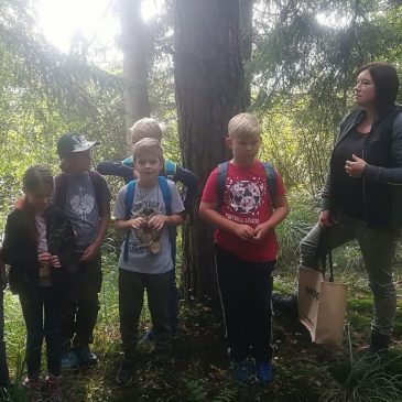 Ein besonderer Tag im Wald | Poseben dan v gozdu