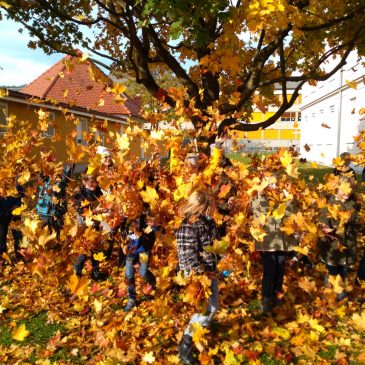 Jesenski žur|Herbsttreiben