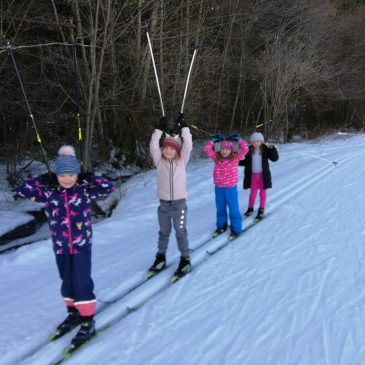 Langlauf – Tek na dolgi progi