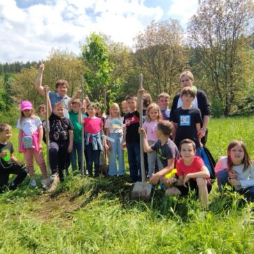 Weltbienentag /praznik čebel