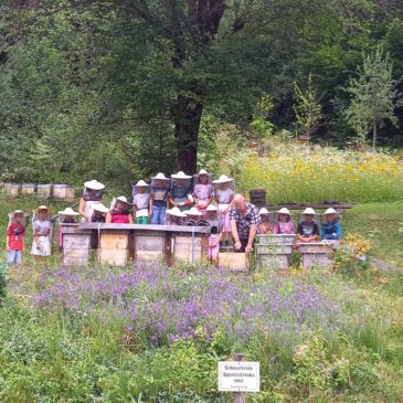 Bienen – Čebele